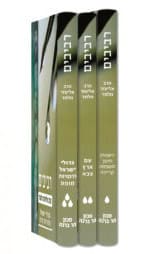 רביבים